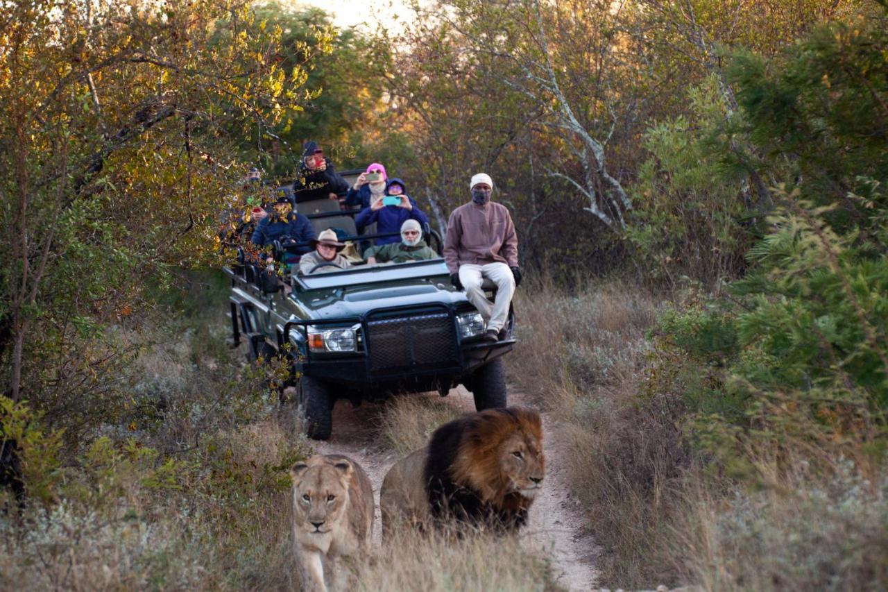 Karongwe Portfolio - Becks Safari Lodge Karongwe Game Reserve المظهر الخارجي الصورة