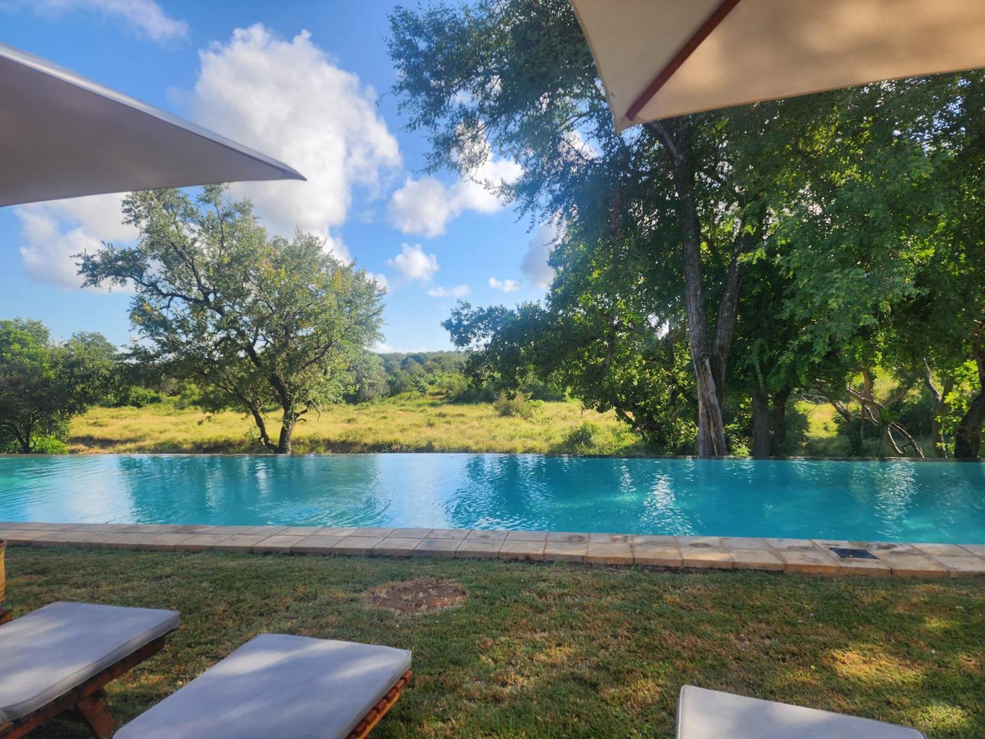 Karongwe Portfolio - Becks Safari Lodge Karongwe Game Reserve المظهر الخارجي الصورة