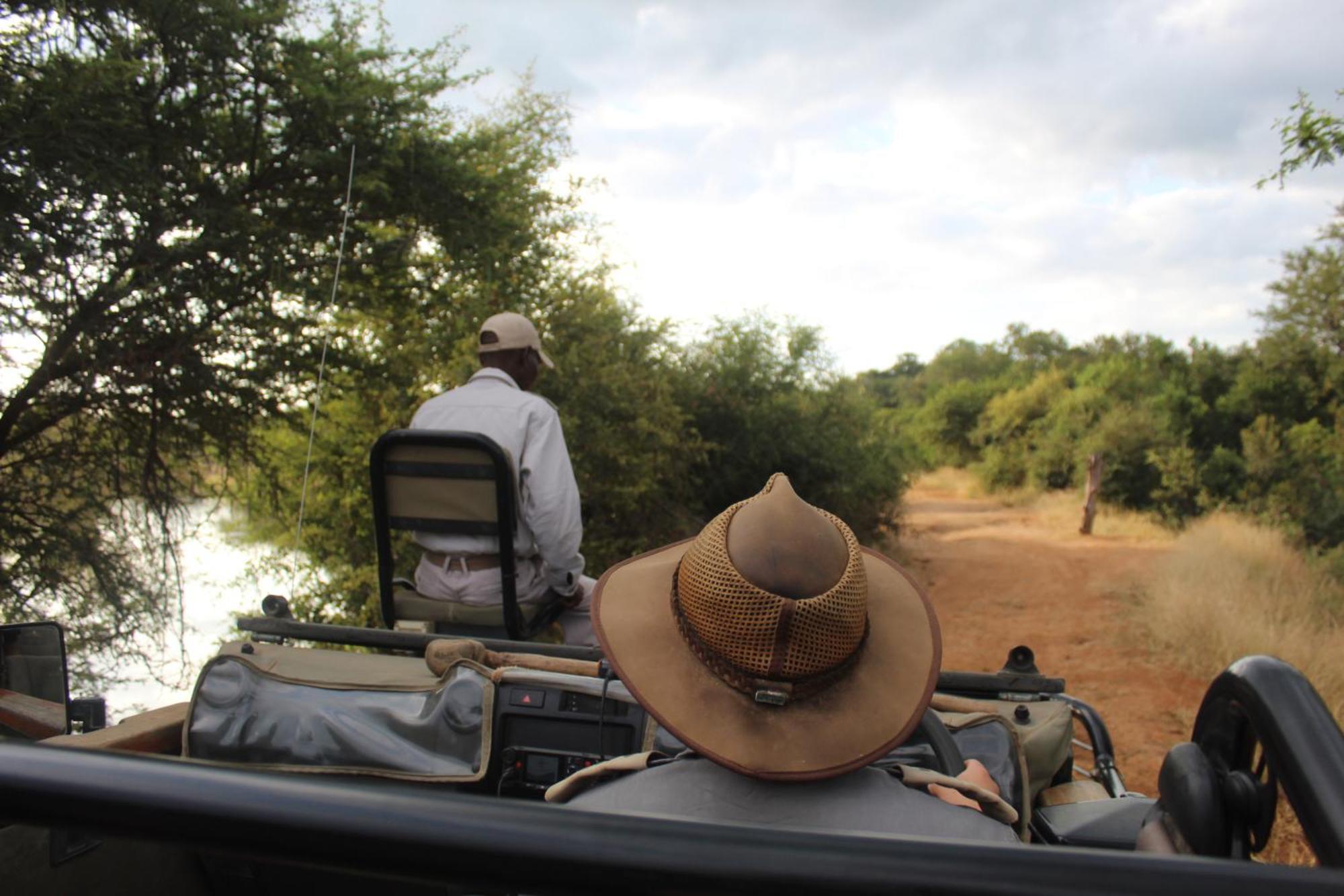 Karongwe Portfolio - Becks Safari Lodge Karongwe Game Reserve المظهر الخارجي الصورة