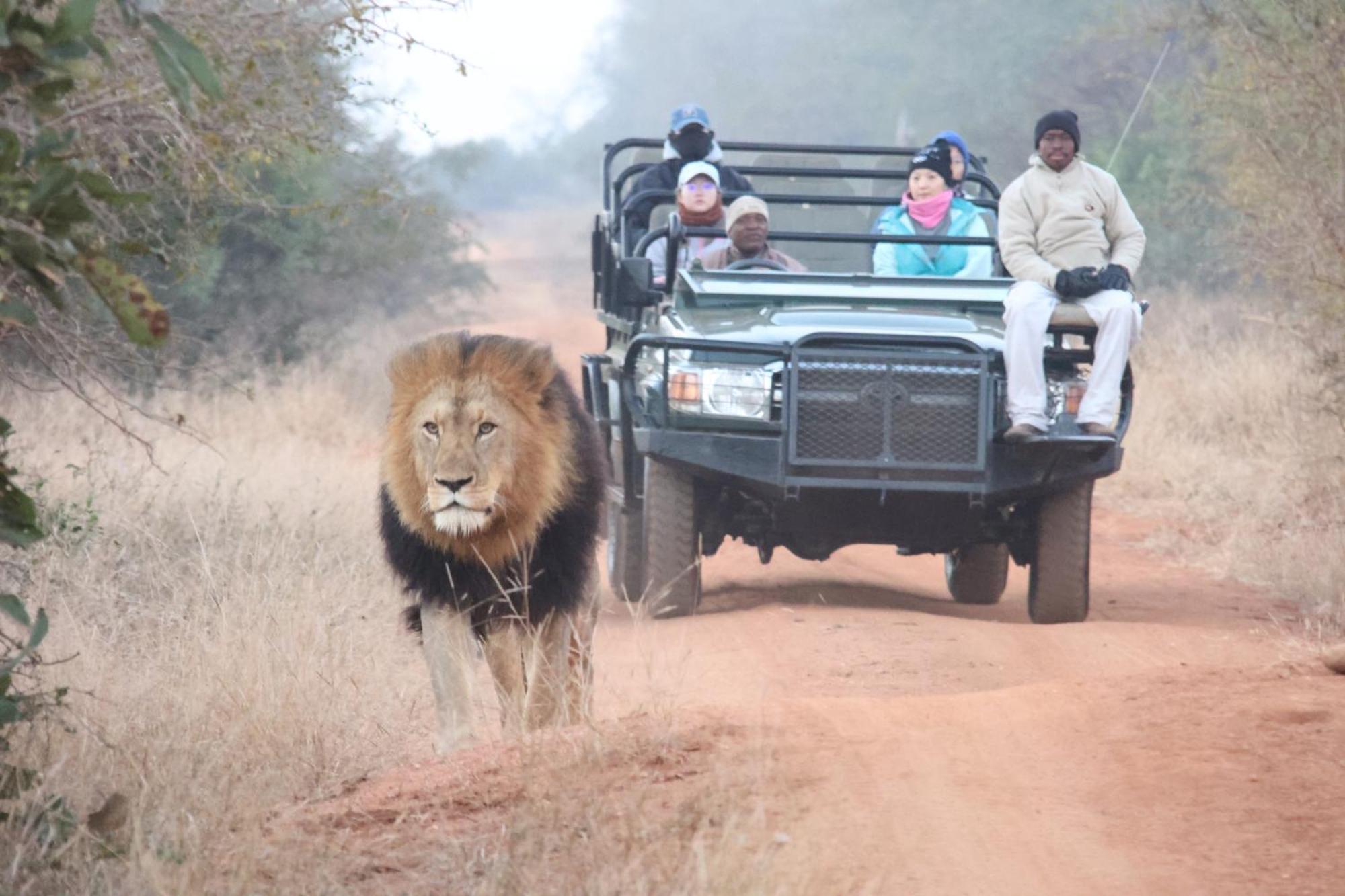 Karongwe Portfolio - Becks Safari Lodge Karongwe Game Reserve المظهر الخارجي الصورة