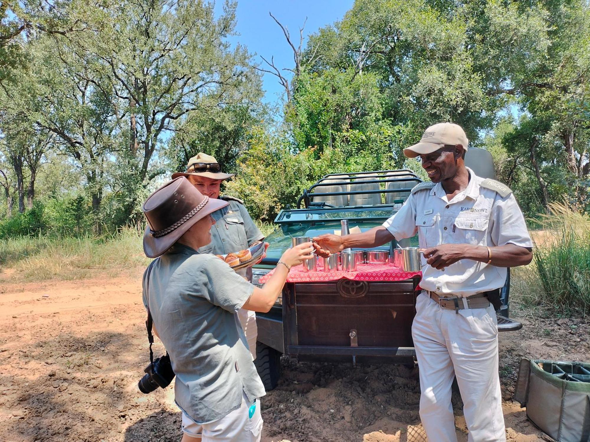 Karongwe Portfolio - Becks Safari Lodge Karongwe Game Reserve المظهر الخارجي الصورة