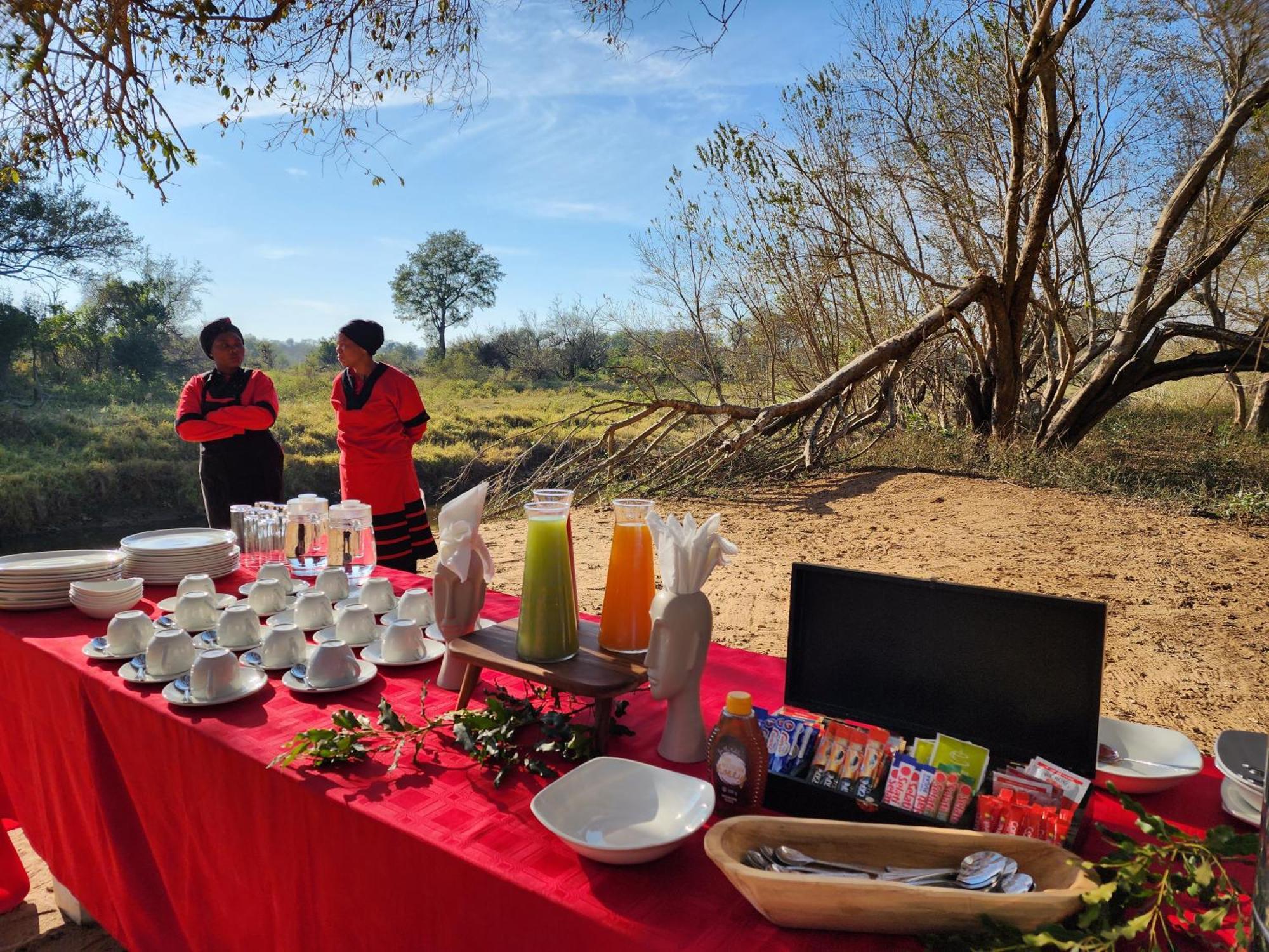 Karongwe Portfolio - Becks Safari Lodge Karongwe Game Reserve المظهر الخارجي الصورة